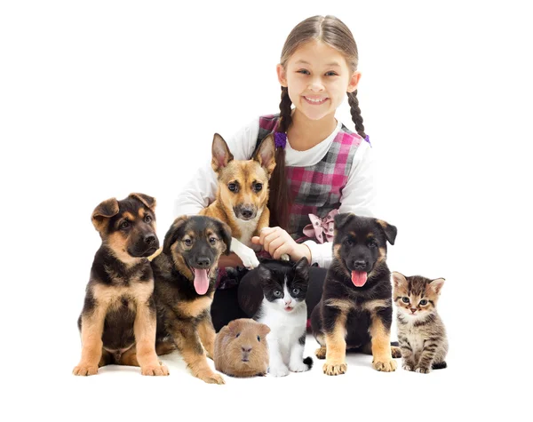 Little girl and dog and kitten and guinea pig — Stock Photo, Image