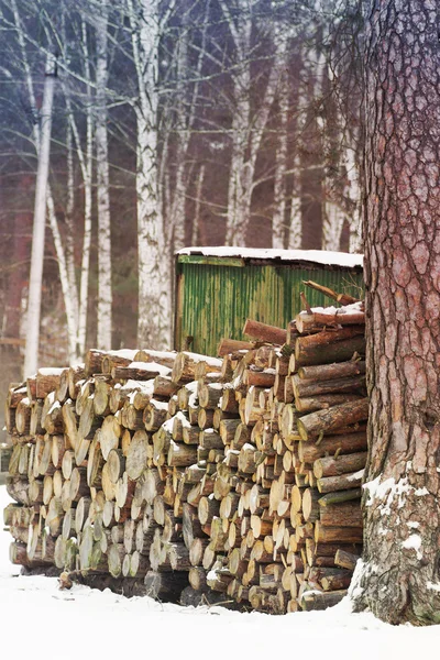 Bois de chauffage de pin près de la maison de village — Photo