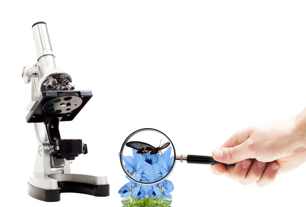 Hand with magnifying glass, microscope and butterfly on flowers — Stock Photo, Image