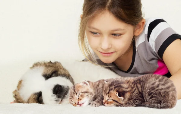 Niño y un gatito y un cachorro —  Fotos de Stock