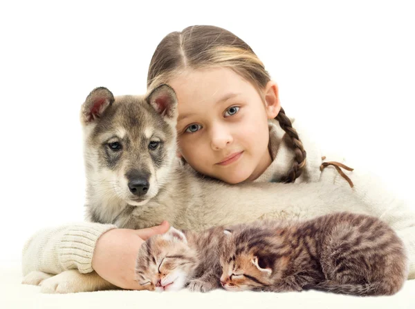 Enfant et un chiot et chatons — Photo