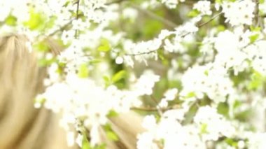 kiraz çiçekleri kadında