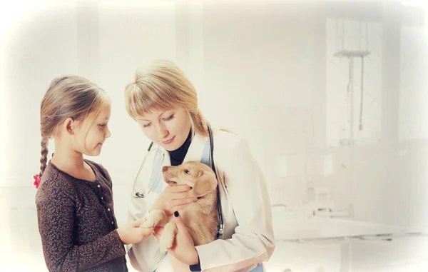 Criança, animal de estimação na recepção para veterinário — Fotografia de Stock