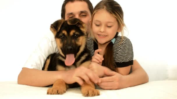 Collezione di cuccioli carini, padre e ragazza — Video Stock