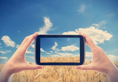 buğday alanlarında bir fotoğraf çekmek