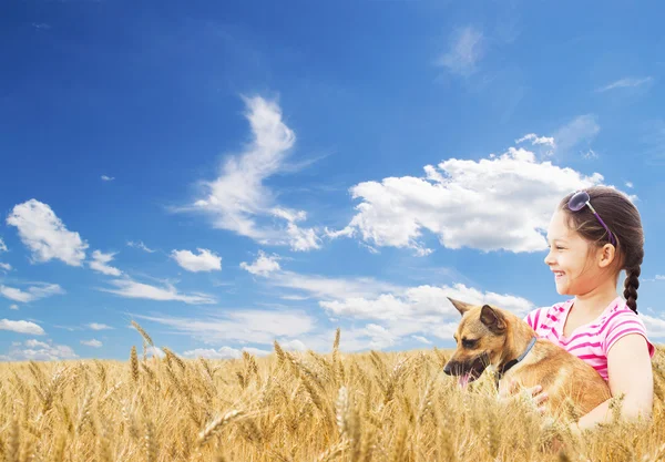 Barn och hund och vete fält — Stockfoto