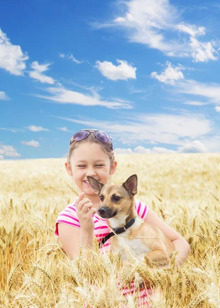 Niño y perro en el campo de trigo — Foto de Stock