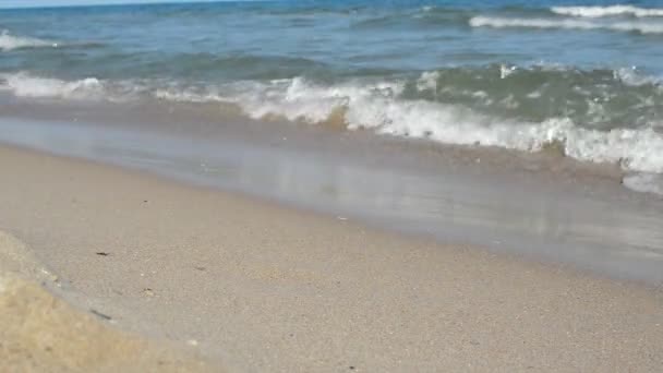Twee paren van voeten lopen op het zandstrand — Stockvideo