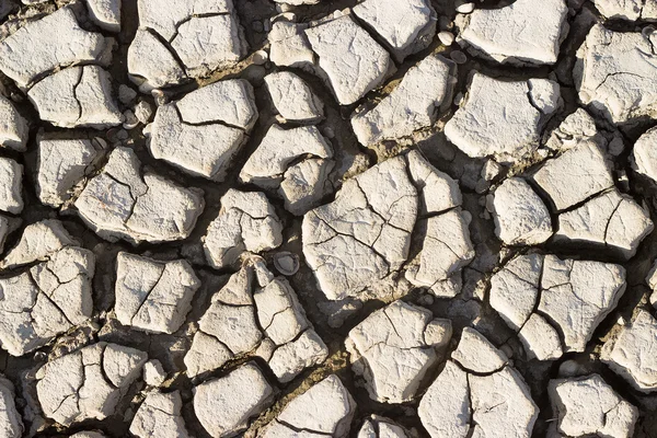 Drought — Stock Photo, Image