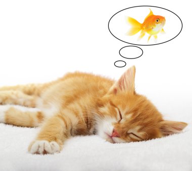 Ginger Tabby Kitten Dreaming clipart
