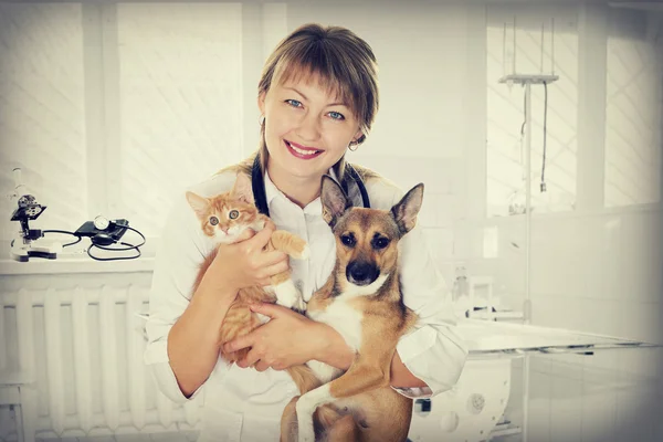 Ветеринар и щенок и котенок в клинике — стоковое фото
