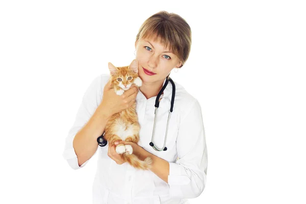 Veterinär och kattunge — Stockfoto