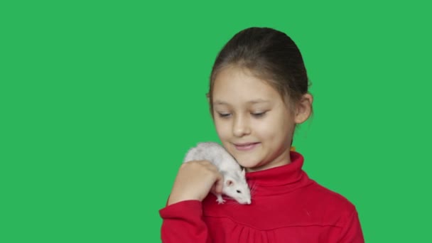 Meisje en pet rat op een groen scherm — Stockvideo