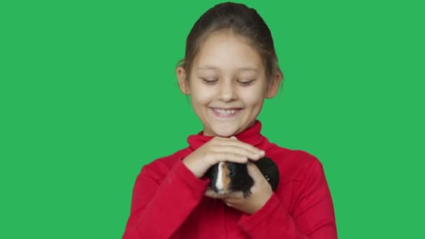 Meisje en cavia op een groen scherm — Stockvideo