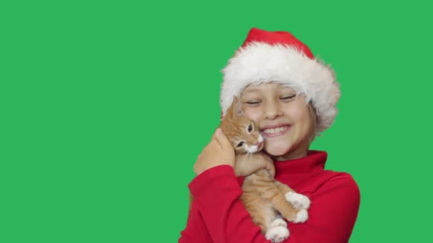 Flickan står med kattunge — Stockvideo