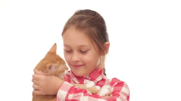 Enfant joue avec un chaton sur un fond blanc — Video