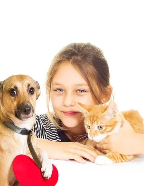 Girl with a kitten and a dog — Stock Photo, Image