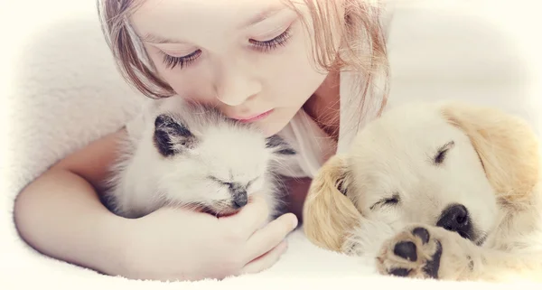 Pequena menina bonito carinhosamente abraçando gatinho e filhote de cachorro — Fotografia de Stock