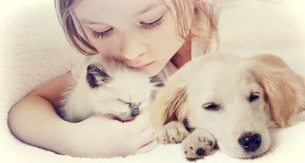 Pequena menina bonito carinhosamente abraçando gatinho e filhote de cachorro — Fotografia de Stock