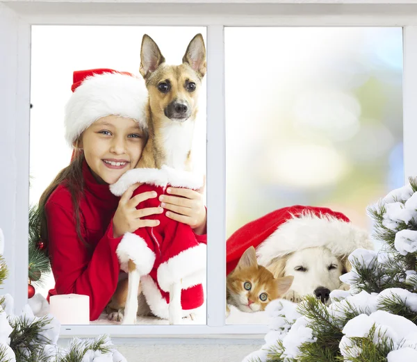 Flicka och en valp väntar jul — Stockfoto