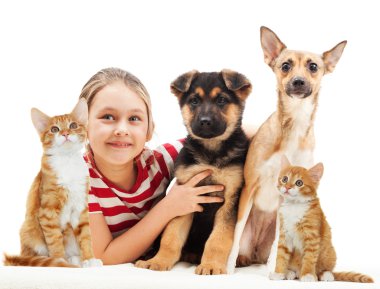 kız ve bir kedi ve bir köpek