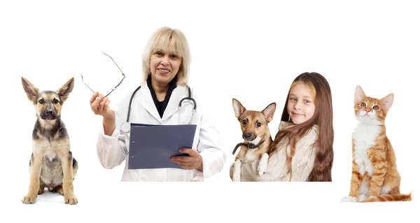 Veterinario, proprietario e paziente — Foto Stock