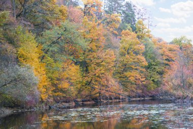 bir sonbahar manzara