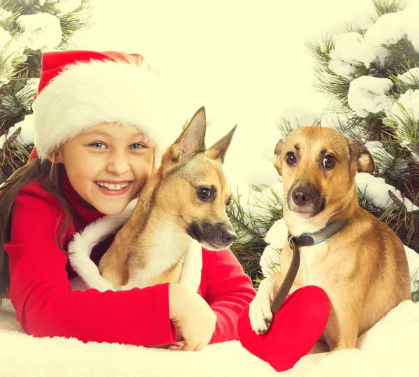 Flicka i en jultomten hatt och hund — Stockfoto