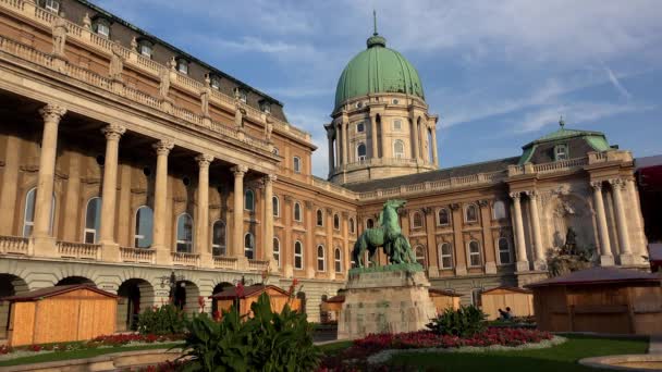 Castillo Buda Palacio Real Budapest Hungría Disparo Uhd — Vídeos de Stock