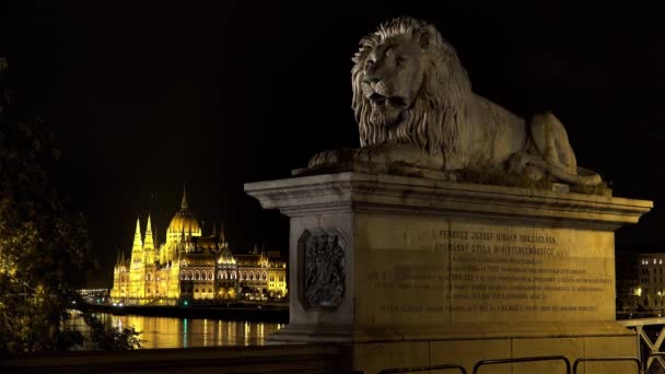 Parlamento Húngaro Budapeste Boa Noite Luzes Tiros Uhd — Vídeo de Stock