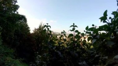 Budapeşte. Üst Manzara. Mimarlık, eski evler, sokaklar ve mahalleler. Macaristan. 4K, UHD 'de çekilmiş.