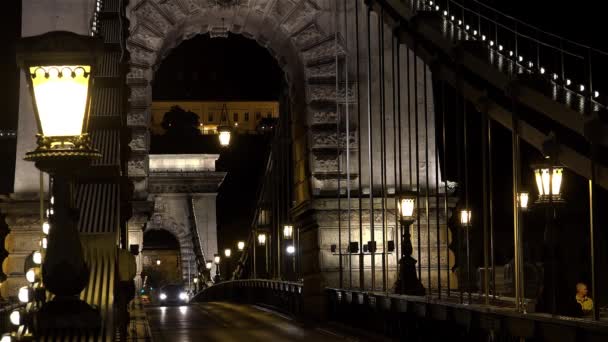 Puente Sobre Río Danubio Budapest Hungría Buenas Noches Luces Disparo — Vídeo de stock