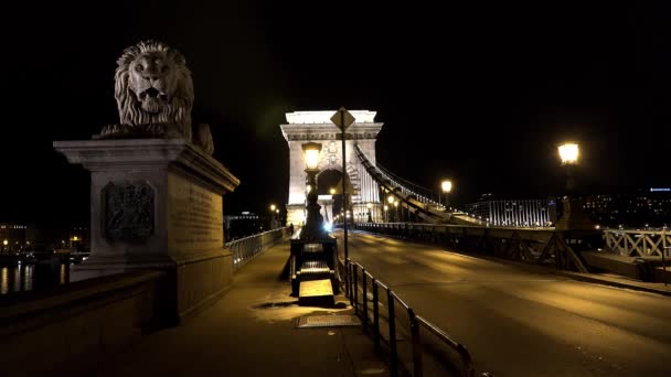 Puente Sobre Río Danubio Budapest Hungría Buenas Noches Luces Disparo — Vídeo de stock