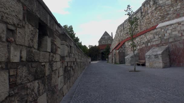 Древний Замок Будапеште Венгрия Выстрел Uhd — стоковое видео