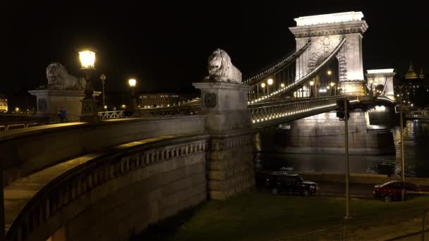 Ponte Sul Danubio Budapest Ungheria Notte Luci Girato Uhd — Video Stock