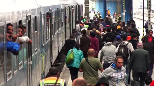 Budapest Ungheria Autunno 2015 Immigrati Rifugiati Alla Stazione Ferroviaria Budapest — Video Stock