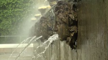 Aslan şelalesi. Peterhof. Çeşmeler. Petrodvoretler. 4 bin. 4K, UHD 'de çekilmiş.