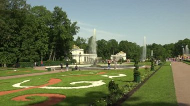 Fıskiye kasesi. Peterhof. Çeşmeler. Petrodvoretler. 4 bin. 4K, UHD 'de çekilmiş.