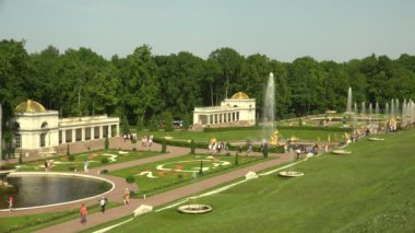 Samson Çeşmesi. Peterhof. Çeşmeler. Petrodvoretler. 4 bin. 4K, UHD 'de çekilmiş.