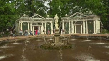 Çeşme Adam. Peterhof. Çeşmeler. Petrodvoretler. 4 bin. 4K, UHD 'de çekilmiş.