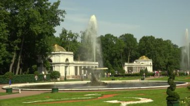 Fıskiye kasesi. Peterhof. Çeşmeler. Petrodvoretler. 4 bin. 4K, UHD 'de çekilmiş.