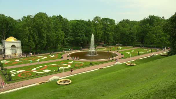 Fountain Bowl Peterhofe Fontány Petrodvorets Výstřel Uhd — Stock video