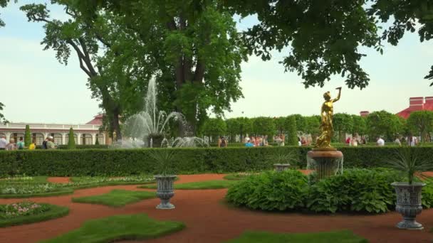 Fontanny Pobliżu Pałacu Monplaisir Peterhof Fontanny Petroworeczki Strzał Uhd — Wideo stockowe