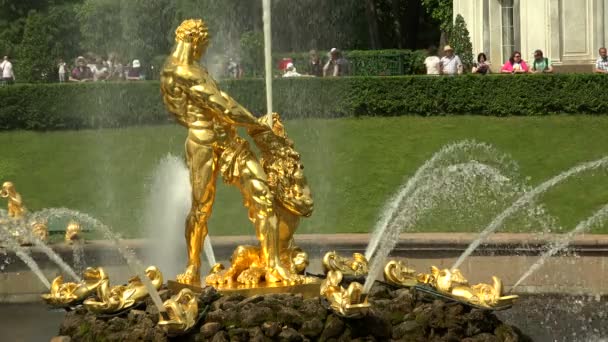 Fonte Sansão Peterhof Fontes Petrodvorets Tiros Uhd — Vídeo de Stock