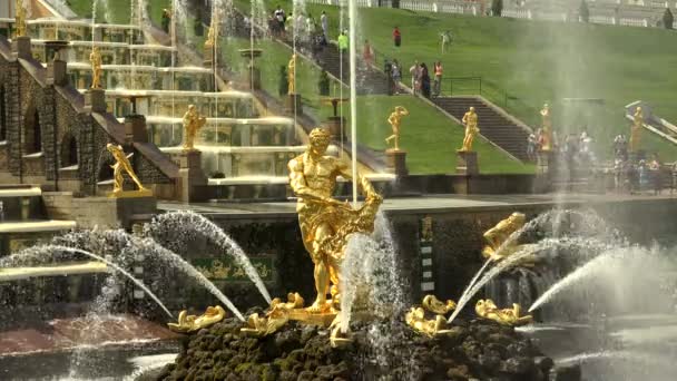 Fontana Sansone Peterhof Fontane Petrodvorets Girato Uhd — Video Stock