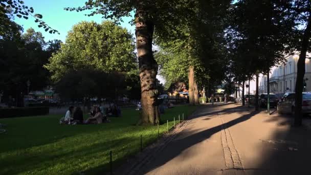 Helsinki Finlandia Verano 2015 Parque Ocio Helsinki Gente Relaja Hierba — Vídeo de stock