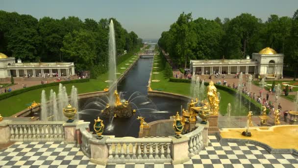 Brunnenallee Peterhof Brunnen Petrodworez Gedreht Uhd — Stockvideo