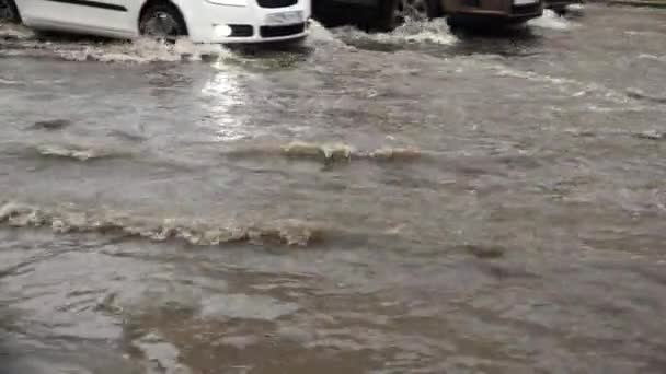 Saint Petersburg Ryssland Juni 2015 Kraftigt Regn Översvämning Element Petersburg — Stockvideo