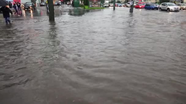 Saint Petersburg Rusland Juni 2015 Zware Regenval Overstroming Element Petersburg — Stockvideo