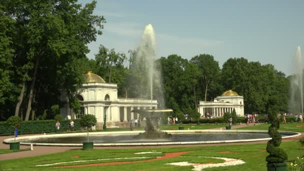 Fontän Skål Det Peterhof Fontäner Petrodvorets Skjuten Uhd — Stockvideo